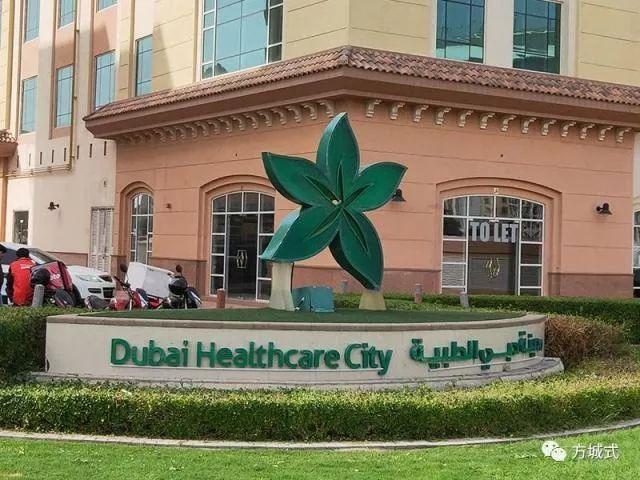 迪拜健康城对海南医疗健康产业发展的启示