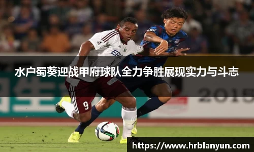 德赢vwin